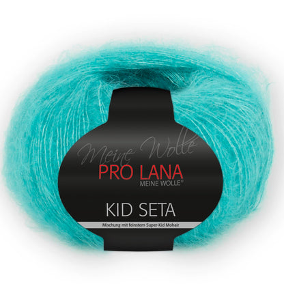 Pro Lana Kid Seta 25 g
