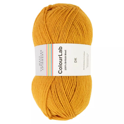 West Yorkshire Spinners ColourLab DK 100g