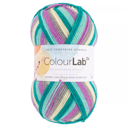 West Yorkshire Spinners ColourLab DK 100g