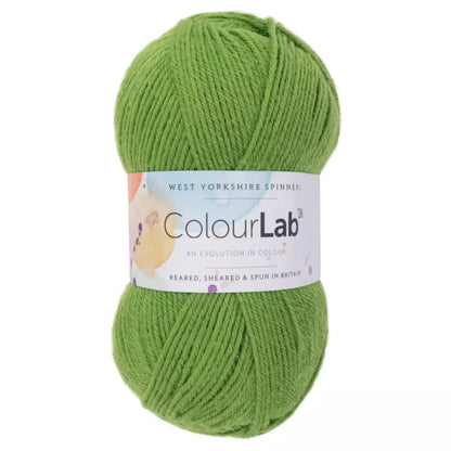 West Yorkshire Spinners ColourLab DK 100g