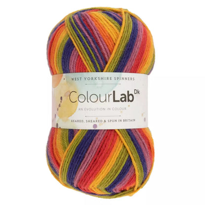 West Yorkshire Spinners ColourLab DK 100g